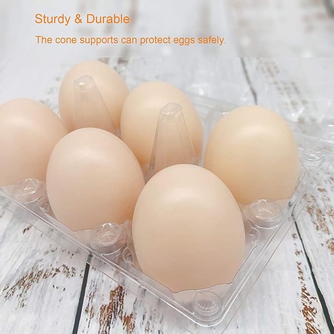 Egg Cartons 60 Packs, Clear Eco-friendly Plastic Blank Egg Cartons with Free Labels, Holds up to 6 Eggs Securely, Perfect for Family Pasture Farm Markets Display - Medium