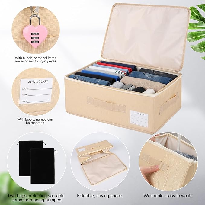 2-pack Discreet Toy Storage Box with Lock Toy Bag Fabric lockable storage bin with Handles, foldable, with Zipper lid/handle/label,locking Storage Box for Women and Men (2, pink lock, small)