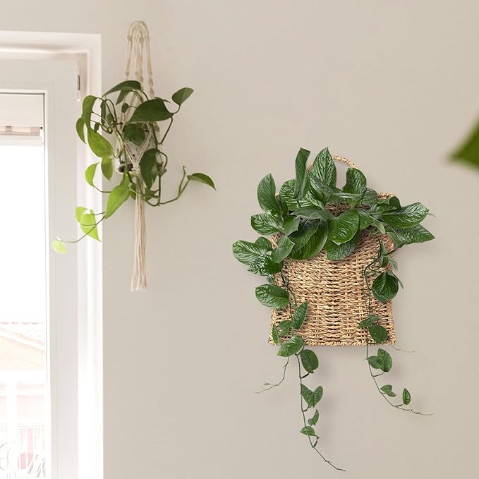 Woven Hanging Seagrass Baskets, Hanging Wall Wicker Basket, Handmade Organizer Baskets, Hanging Flower Basket for Shelves, Walls, Doors, Balconies, Front of House, Garden,...