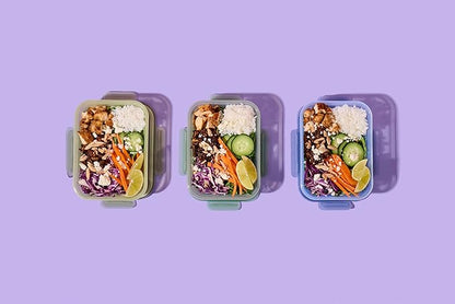 Ello Snap & Nest 10-Piece 4.5 Cup Plastic Meal Prep Set, Reusable Food Containers for Healthy Eating, Freezer, Dishwasher Safe, Cactus Blooms