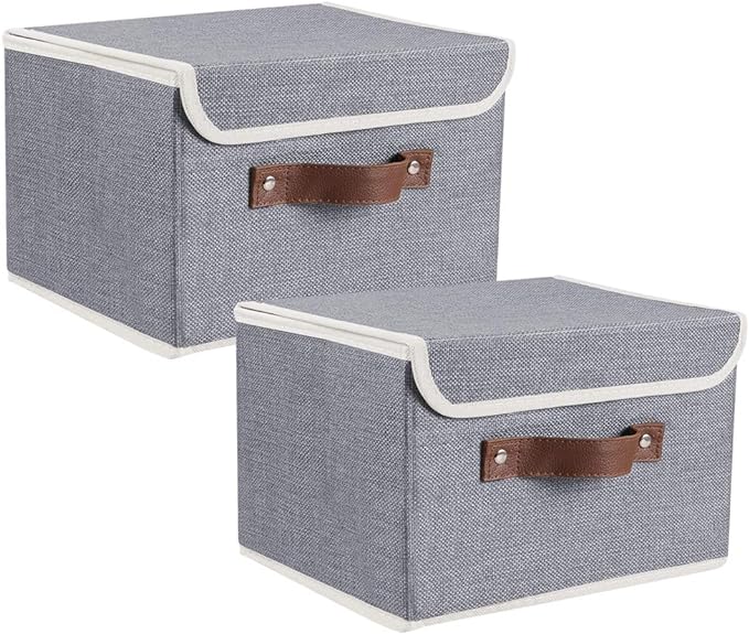 Lucky Monet Storage Bins Boxes with Lids 2 Pack Decorative Storage Boxes Collapsible Fabric Storage Basket Containers Lidded Storage Cube for Organizing Closet Home Office, 15"x 10"x 10" (Grey)