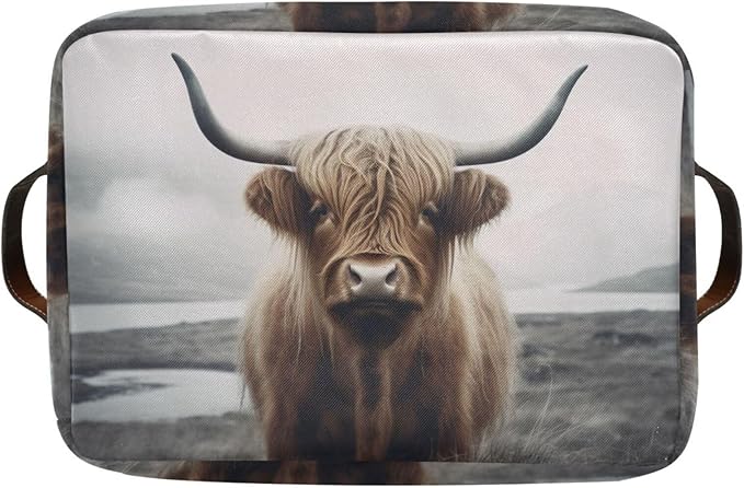 YETTASBIN Highland Cow Storage Basket 2pc, Large Collapsible Toys Clothes Organizer, Durable Canvas Storage Bin with Handle for Shelves Closet Laundry Home Office Decor