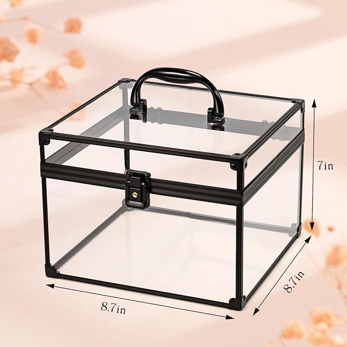 Costravio Makeup Display Clear Clear Makeup Case Portable Transparent Artists Train Case Crown Box Large Capacity Toiletry Organizer Box Travel Makeup Storage for Vanity Bathroom Craft Toys Case