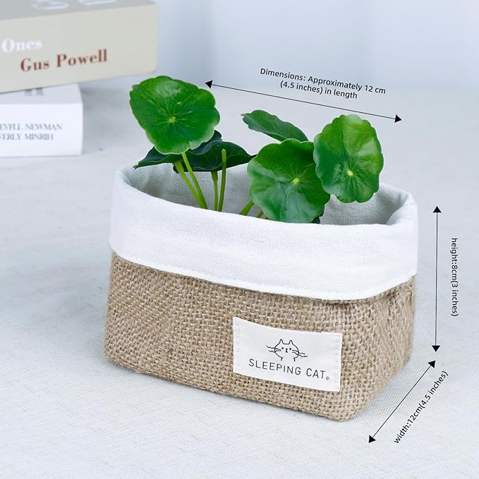 TENEBRALUX Small Cotton and Linen Hanging Storage Basket for Desktop, Ideal for Organizing Keys and Miscellaneous Items. (2)