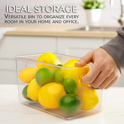 Set of 4 Clear Plastic Storage Bins With Handles, Containers To Organize Pantry, Fridge, Cabinet, Kitchen, Countertop, Closet, Cupboard, Home Organization and Storage