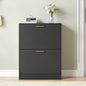 Shoe Cabinet with 2 Flip Drawers, Black Shoe Cabinet Storage for Entryway, Modern Shoe Organizer Wood, Freestanding Small Thin Shoe Racks with Doors, Black