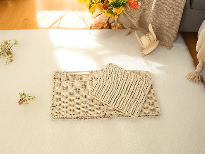 YAHUAN Foldable Paper Rope Storage Cubes 9X9 Hand Woven Wicker Storage Bins Square Basket Storage Basket for Shelves (Paper rope)