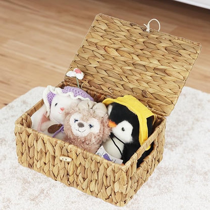 Set of 2 Wicker Baskets with Lid, Small Woven Wicker Storage Bins, Natural Water Hyacinth Basket Multipurpose Decorative Storage Boxes for Shelf Organizer (11.2" x 7.8" x 5.1" + 10" x 6.1" x 3.8")