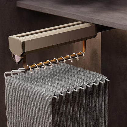 Extendable Pull-Out Closet Valet Rod,Fashion Retractable Pants Hangers,Non-Slip Solid Hanging Rod,Double Damping Slide Track,for Shallow Cabinet/Narrow Cabinet,Load-Bearing 30 kg