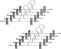Mawa by Reston Lloyd Non-Slip Space-Saving Clothes Hanger For Pants & Skirts with Two Non-Slip Clips, Style K/30D, 12-Inch, Set of 10, Silver