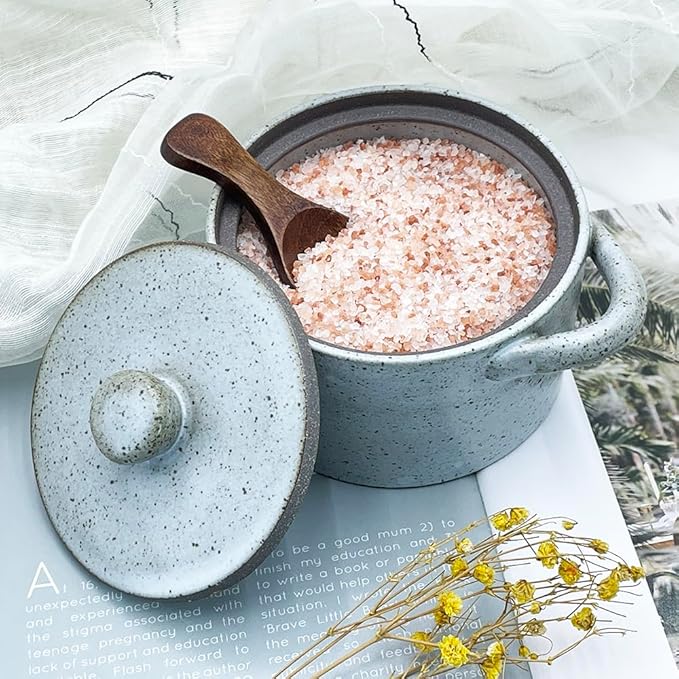 12 oz Ceramic Salt Cellar with Lid & Wooden Spoon,Countertop Salt Container,Sugar Bowl,Spices Jar| Artisan Kitchen Decor(Gray)