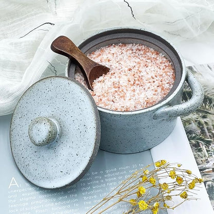 12 oz Ceramic Salt Cellar with Lid & Wooden Spoon,Countertop Salt Container,Sugar Bowl,Spices Jar| Artisan Kitchen Decor(Gray)