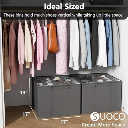 for 2 Pack Shoe Organizer for Closet, Fits up to 32 Pairs, Small Space Shoe