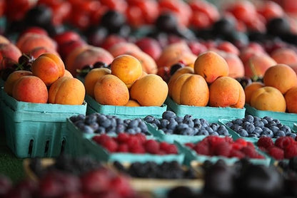 Hampton Distribution 15 Pack Green Berry Basket 1 Pint, Pulp Fiber Vented Produce Containers Farmers Market Basket, Fruit & Vegetable Containers