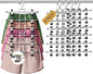 DAMITA Skirt Pants Hangers with Clips Space Saving Hanging Closet Organizer 6 Tiers Hanger with 360° Swivel Hook, Finger-Safe Design- College Dorm Room Apartment Essentials 4-Pack