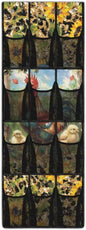 Over The Door Storage Organizer Closet Door Hanging Organizer with 12 Mesh Pockets, Stuffed Animal Storage for Toys Sundries Organizers and Storage,Rooster Leopard