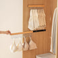Pull Out Belt Rack for Closet, Sliding Hooks Hanger Rack for Bras Ties Tank Top Scarf Jewelry, Space Saving Organizr for Wardrobe Cabinet, Left Side 8 Hooks Rail, 2 Pcs