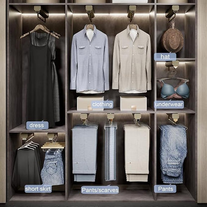 Extendable Pull-Out Closet Valet Rod,Fashion Retractable Pants Hangers,Non-Slip Solid Hanging Rod,Double Damping Slide Track,for Shallow Cabinet/Narrow Cabinet,Load-Bearing 30 kg