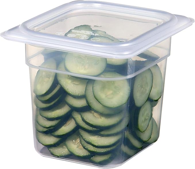 Food Pan 1/6 X 6" Polypropylene Translucent
