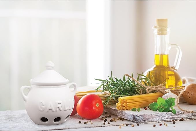 Fantes Garlic Keeper, Unglazed Earthenware Ceramic, The Italian Market Original since 1906