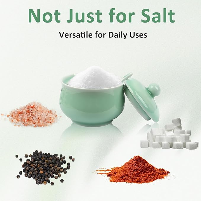 Porcelain Salt Cellar with Lid and Spoon, 4.4 oz Salt Container Sugar Bowl for Spice & Seasonings, Elegant Kitchen Counter Decor, Chinese Celadon (Light Green)