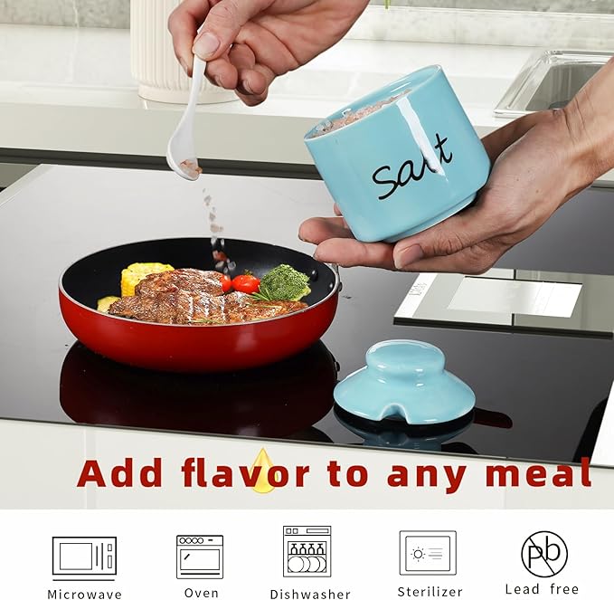 ONTUBE Farmhouse 8oz Salt Bowls with Lid and Spoon, Ceramics Condiment Pots, Seasoning Jar Spice Container for Kitchen, Dishwasher Safe (Turquoise)