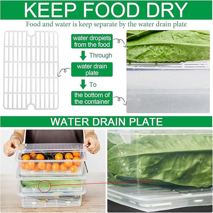 House of Heaven Fruit Storage Containers for Fridge (3 Pack) - 1.5L Produce Saver Containers for Refrigerator with Removable Drain Tray for Fruits and Vegetables Fridge Boxes (1.5 Liter x Pack of 3)