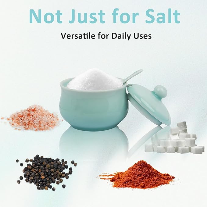Porcelain Salt Cellar with Lid and Spoon, 4.4 oz Salt Container Sugar Bowl for Spice & Seasonings, Elegant Kitchen Counter Decor, Chinese Celadon (Ivory Blue)