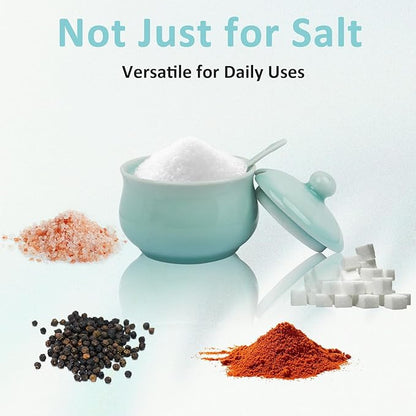Porcelain Salt Cellar with Lid and Spoon, 4.4 oz Salt Container Sugar Bowl for Spice & Seasonings, Elegant Kitchen Counter Decor, Chinese Celadon (Ivory Blue)