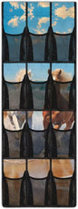 Horse 12-Pocket Door Organizer, Breathable Ultra-Lightweight & Foldable Mesh Pockets Organizer for Shoes, Accessories