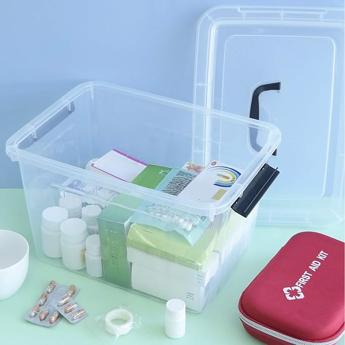 1-Pack Plastic Storage Box, Clear Latch Box with Handle and Lid, 10 L
