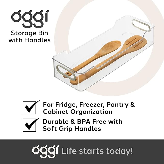 Oggi Cabinet / Drawer Storage Bin (14" x 5" x 2.75")