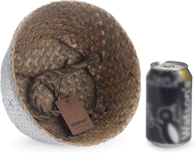 Seagrass Plant Basket with Handles, Natural Woven Storage Wicker Baskets (White S(7“ D x 8" H))