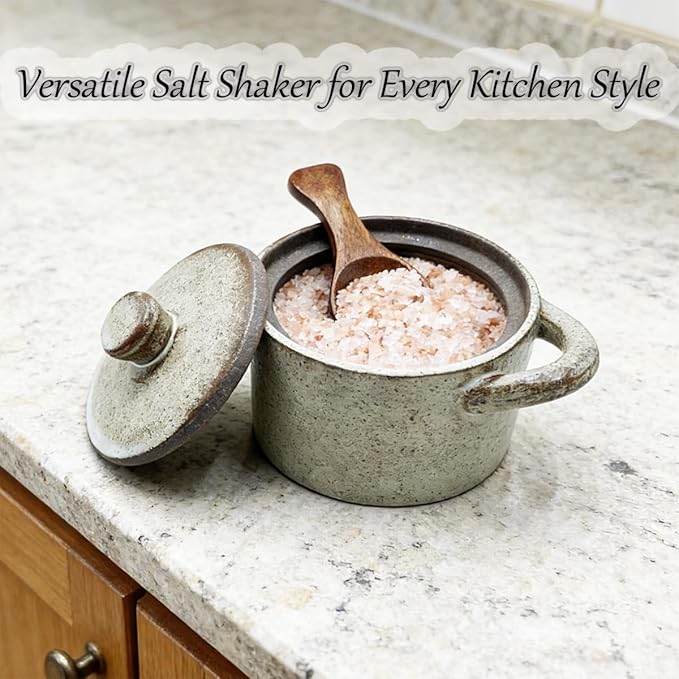 Ceramic Salt Cellar With Lid & Spoon,8oz Salt Container For Countertop,Sugar Bowl,Spice Jar(Coarse Pottery Color)