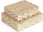 Plastic Wicker Storage Baskets with Lids, 2-Pack Woven Rattan Organizer Bins with Locking Button, Decorative Flat Storage Boxes, 11"x9.25"x2.75" & 13"x11.2"x3.5", Beige