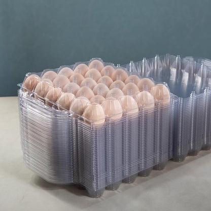 30 Piece Portable Transparent Egg Cartons,Plastic egg carton with handle,Specification 5×6 Plastic Large egg Carton For Family, Farm, Markets. (5x6 30 portable bulk egg cartons)