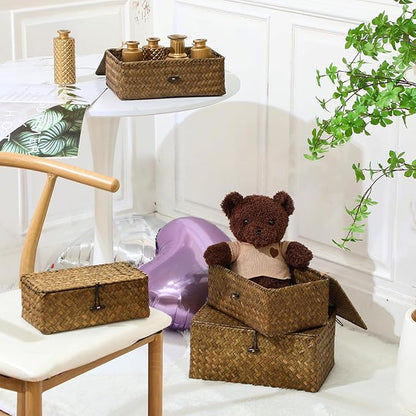 Woanger Set of 4 Wicker Storage Baskets Organizer，Handwoven Storage Bins with Lid for Organizing, Home Utility Box for Home Office Supplies Multipurpose Container(Retro Color)
