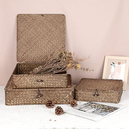 Hipiwe Flat Wicker Basket Bins with Lid - Set of 3 Handwoven Seagrass Storage Basket Shelf Baskets Boxes Multipurpose Home Organizer Bins Boxes for Shelf Pantry Closet,Large Size 14.8"x13" Coffee