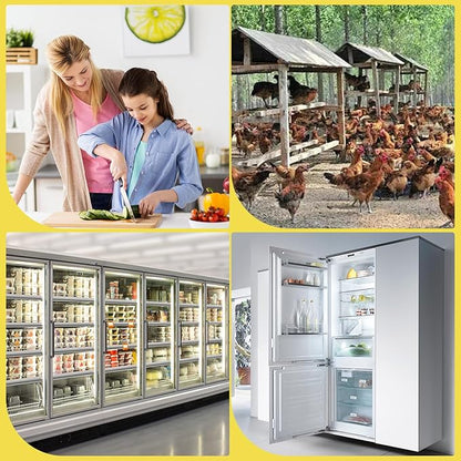 100 pc clear plastic Egg Cartons Cheap Bulk, 12 grid Reusable Eggs Carton Bulk, clear Large egg cartons,It Can Hold 2.3 oz of eggs Perfect for Family, Farm, Markets.(3x4 egg cartons)
