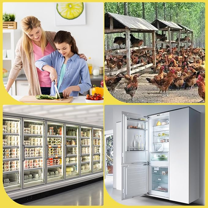 120 pc clear plastic Egg Cartons Cheap Bulk, 12grid Reusable Eggs Carton Bulk, clear Large egg cartons,It Can Hold 2.3 oz of eggs Perfect for Family, Farm, Markets.(3 * 4)
