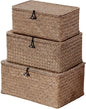 Nonam Seagrass Storage Baskets with Lid Set of 3,Wicker Basket Storage Bin for Shelves,Rectangular,Boho Decor,Handwoven Shelf Basket for Organizing-Storage Container Box for Home Organization-Coffee