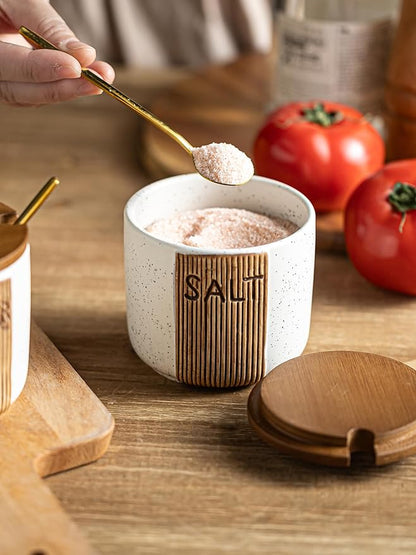 Salt Container for Countertop, Ceramic Salt Cellar with Lid and Spoons, 10 OZ Salt Bowl Holder for Mother's Day, White