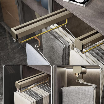 Extendable Pull-Out Closet Valet Rod,Fashion Retractable Pants Hangers,Non-Slip Solid Hanging Rod,Double Damping Slide Track,for Shallow Cabinet/Narrow Cabinet,Load-Bearing 30 kg