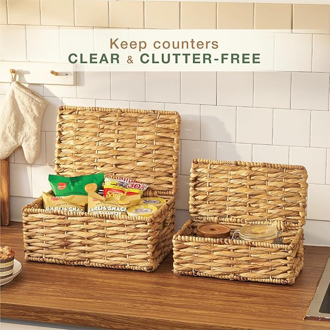 84ECO Set of 2 Wicker Baskets with Lid - Decorative Storage Boxes for Home Decor, Shelves - Woven Basket with Lid - Wicker Decor - Rattan Box - Decorative Bins with Lids (Natural)