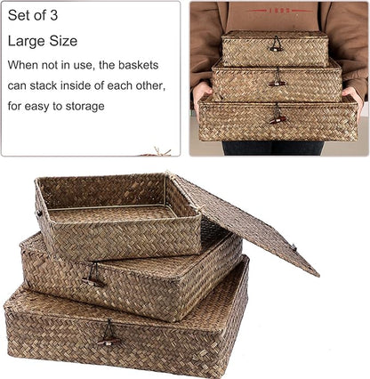 Hipiwe Flat Wicker Basket Bins with Lid - Set of 3 Handwoven Seagrass Storage Basket Shelf Baskets Boxes Multipurpose Home Organizer Bins Boxes for Shelf Pantry Closet,Large Size 14.8"x13" Coffee