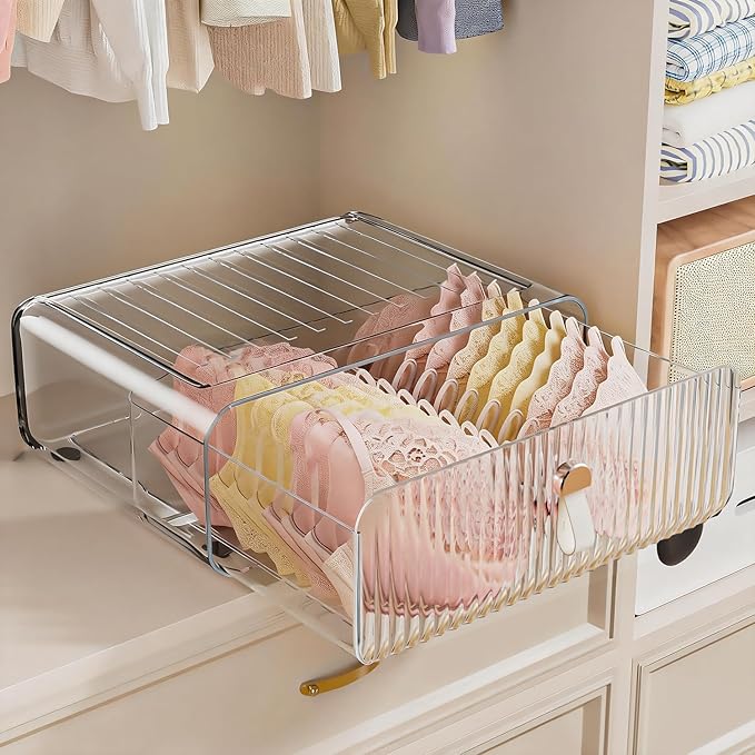 Neprock Underwear Drawer Organizer - Stackable Bra Organizer for Closet, 1 Cell Clear Acrylic Bra Storage Box, Closet Organizers and Storage for Lingerie, Undergarment, Baby Clothes, Scarf