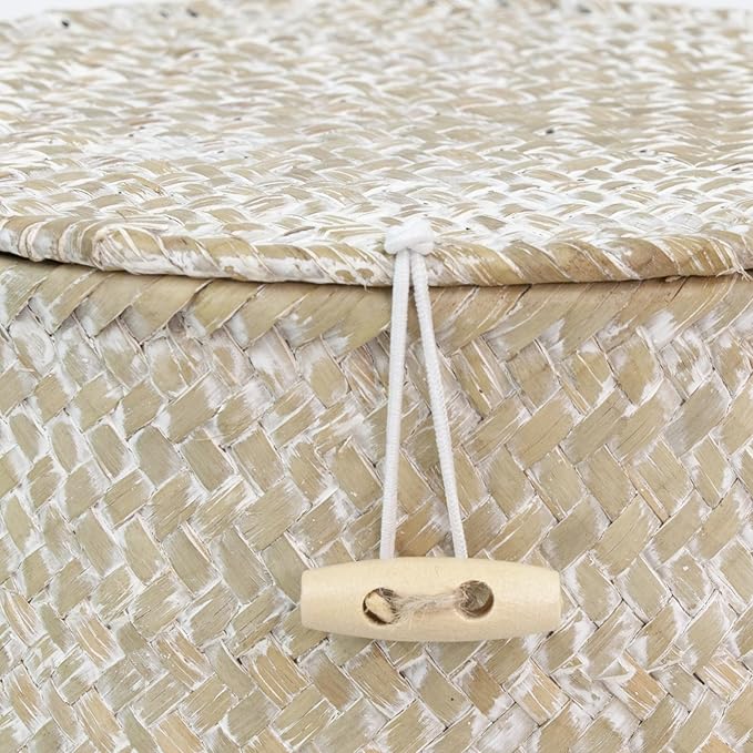 Seagrass Handmade Basket with Lid, Small Round Basket for Storage, Decorative Home Organizer Decor(7"L X 5"H, White)