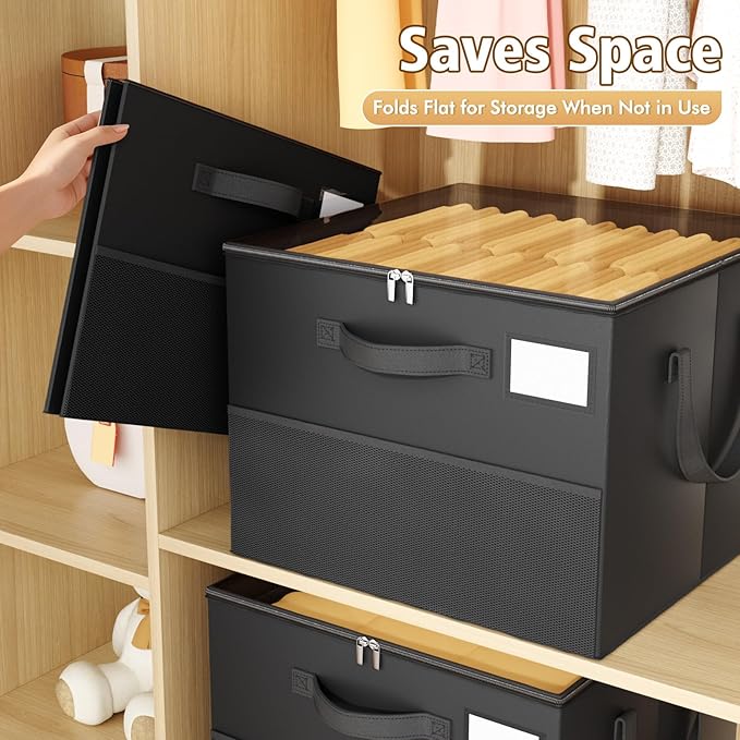 NestOrganix 2 Pack Shoe Organizer for Closet, Large Shoe Box Storage Containers, Foldable Shoe Storage Organizer Box Bin with Adjustable Dividers and Clear Cover, Space Saving Shoes Holder, Black