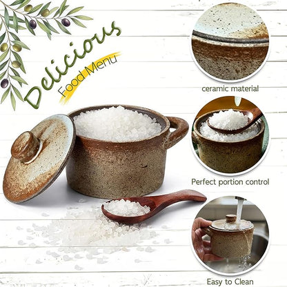 2 Pack Speckled Ceramic Salt Cellar with Lid – Rustic Farmhouse Ceramic Salt Holder, Countertop Bowl, Storage Container, Well Dish Jar for Spices (Retro Color)