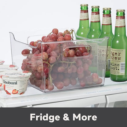 Oggi Storage Bin With Handles - Deep (9.75" x 9" x 6") - Ideal for Kitchen Organization, Pantry Storage, Fridge Organizing, Clear